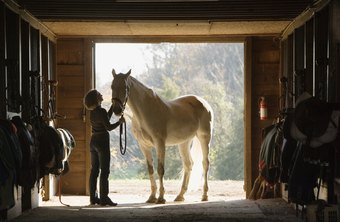 What are some companies that offer equine grants?