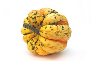 Healthy Facts About Acorn Squash | Healthy Eating | SF Gate