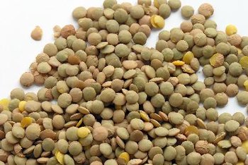 Lentils are a rich source of dietary fiber.