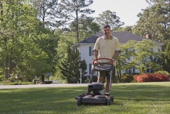 mow free grass