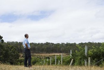 How to Build Grape Fencing | Home Guides | SF Gate