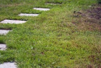 grass pavers walkway paver ground mow keep tripping hazards reduce easy gate