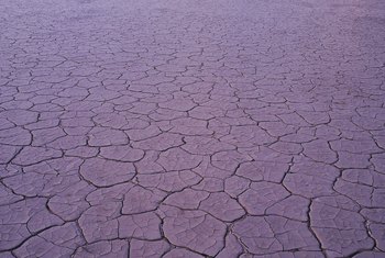 clay soil grass seed type hardens dries