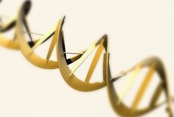 Jason Reed/Photodisc/Getty Images Free radicals can damage DNA and contribute to cancer.