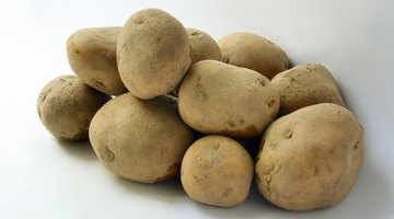 Potatoes can be used in many school projects because they have a long life span.
