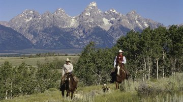 Two cowboys on horseback riding through a grassy valley with a dog.