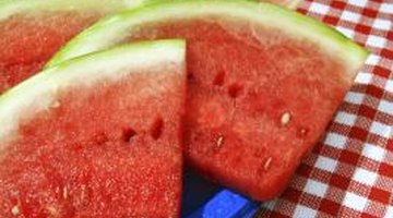 Children can eat watermelon while reading "The Enormous Watermelon."