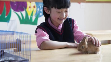 Young student petting baby bunny in classroom.