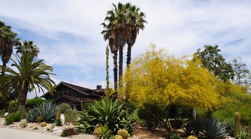 The Rodman arboretum surrounds the Grove House at Pitzer College.