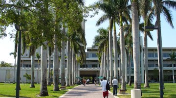 Walkway leading to the Otto G. Richter Library on the campus of the University of Miami
