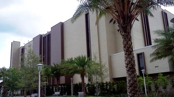 USF Tampa main library