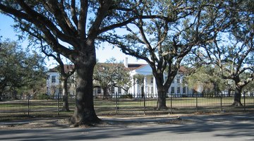  Part of Dillard University from Gentilly Boulevard, New Orleans.   Photographed by Infrogmation of New Orleans, January 2006; at the time still closed due to the flooding from the levee failures during Hurricane Katrina.