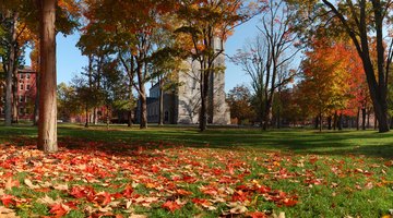  The Quad of Bowdoin College in the Fall