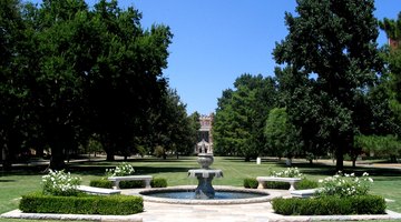 South Oval with Bizzell Library in the background