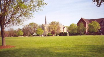 Grove City's central quad in the spring