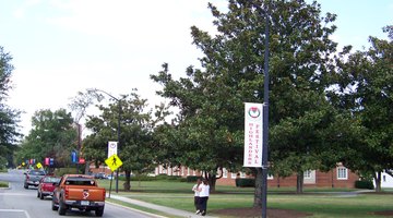 A view of Radford's campus