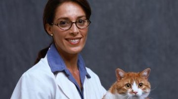 Start preparing early for a career in veterinary science.