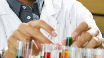 Chemical engineers can work for government or private industry.