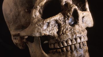 Forensic anthropologists apply the science of biological anthropology to medicolegal investigations.