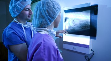 By learning how to interpret X-rays during a radiology class or rotation, veterinarians can properly evaluate, diagnose, and treat problems in their patients.