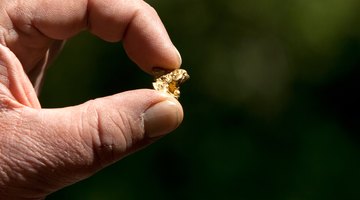 Man holding up a gold nugget