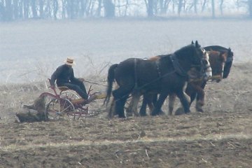Sanitation supervisors may be employed on farms or ranches. Sanitation supervisors may be employed on farms or ranches.