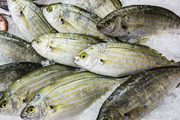 Fresh fish on ice Fresh fish on ice