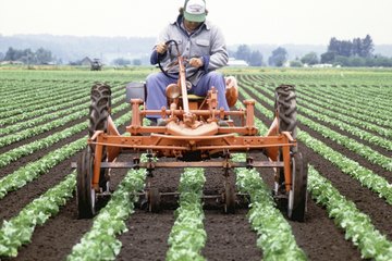 Agriculturist. Agriculturist.