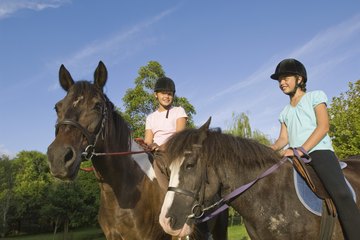 An equine veterinarian, for example, will treat horses and donkeys, while an avian vet will only treat birds. An equine veterinarian, for example, will treat horses and donkeys, while an avian vet will only treat birds.