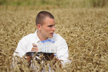 Agricultural Engineer Agricultural Engineer