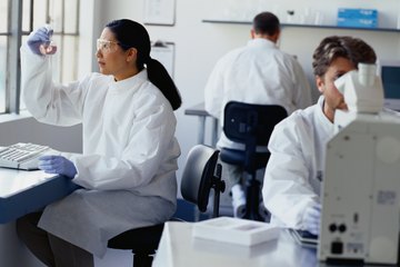 Chemists. Chemists.
