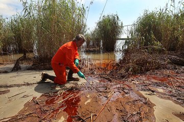 Biologist at the site of an oil spill Biologist at the site of an oil spill