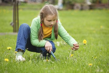 Kids can earn money pulling weeds. Kids can earn money pulling weeds.