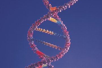 Understanding the basics of biology leads to exciting careers in medicine and engineering. Understanding the basics of biology leads to exciting careers in medicine and engineering.
