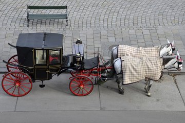 Horses and wagon Horses and wagon