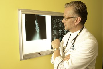 Vet Vet
