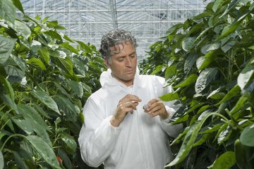 Agricultural scientist. Agricultural scientist.