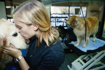 Interacting with animals Interacting with animals