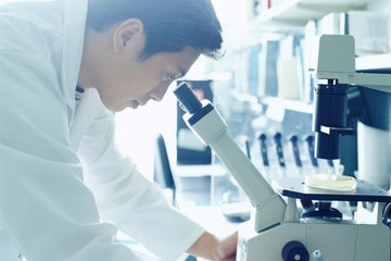 Research scientist Research scientist