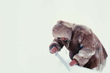 Outdoor survival experts have several career path options. Outdoor survival experts have several career path options.