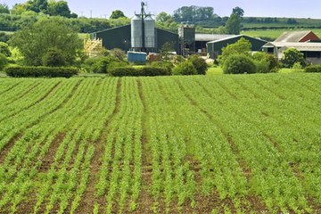 Crop scientists work to develop new planting technology. Crop scientists work to develop new planting technology.