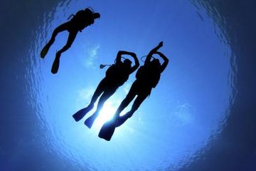 Scuba instructor Scuba instructor
