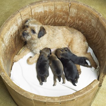 Richard Semik/iStock/Getty Images