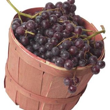 Herbicides to Use Around Muscadine Grapes | Home Guides | SF Gate