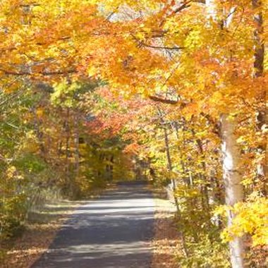 Photos.com/AbleStock.com/Getty Images Enjoy the fall colors at one of Pennsylvania's fall festivals.