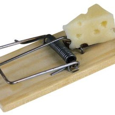 Comstock/Comstock/Getty Images An old fashioned mousetrap can be repurposed into a ping pong ball catapult.