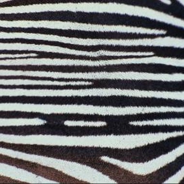 Jupiterimages/Photos.com/Getty Images Add safari flair to a room with zebra-inspired wall treatments.
