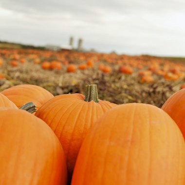 Comstock/Comstock/Getty Images Picking pumpkins is the perfect way to enjoy an October day in Mechanicsville.