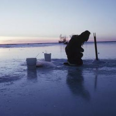 Hemera Technologies/AbleStock.com/Getty Images Chain pickerel tempt anglers onto the ice during the winter.
