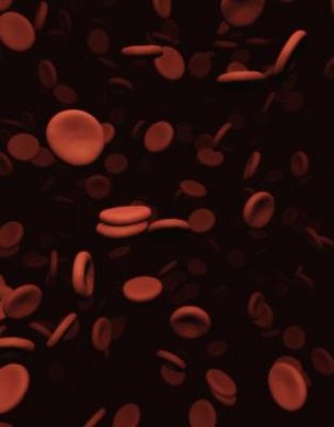 Chad Baker/Photodisc/Getty Images Red blood cells, found in many larger animals, react to higher and lower concentrations of solution in blood.